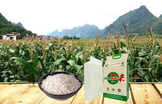 1582519399444206.jpg 微信截图_20200224115532.jpg