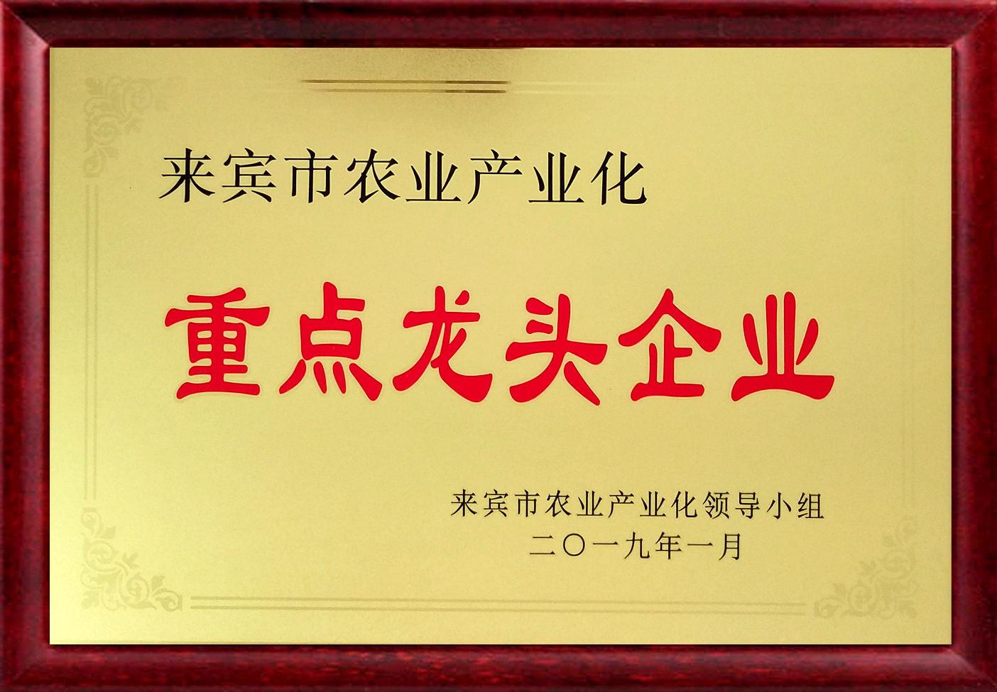 1582519462205941.jpg 6db26646e0fd374e1aefad6b96fb484.jpg