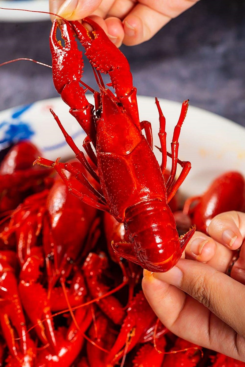 1583741489641194.jpg 虾2.jpg