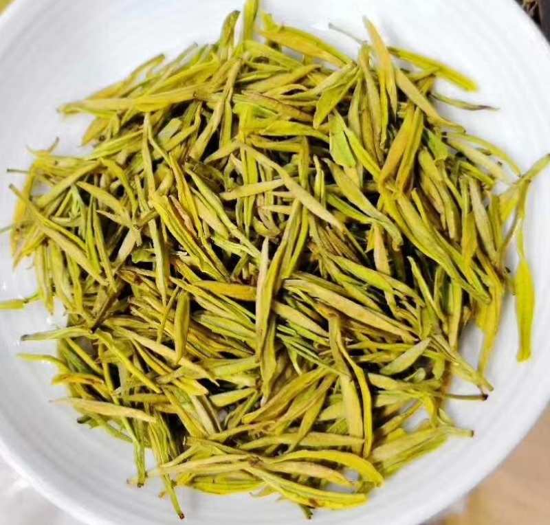 1583805833355929.jpg 黄金芽产品图.jpg