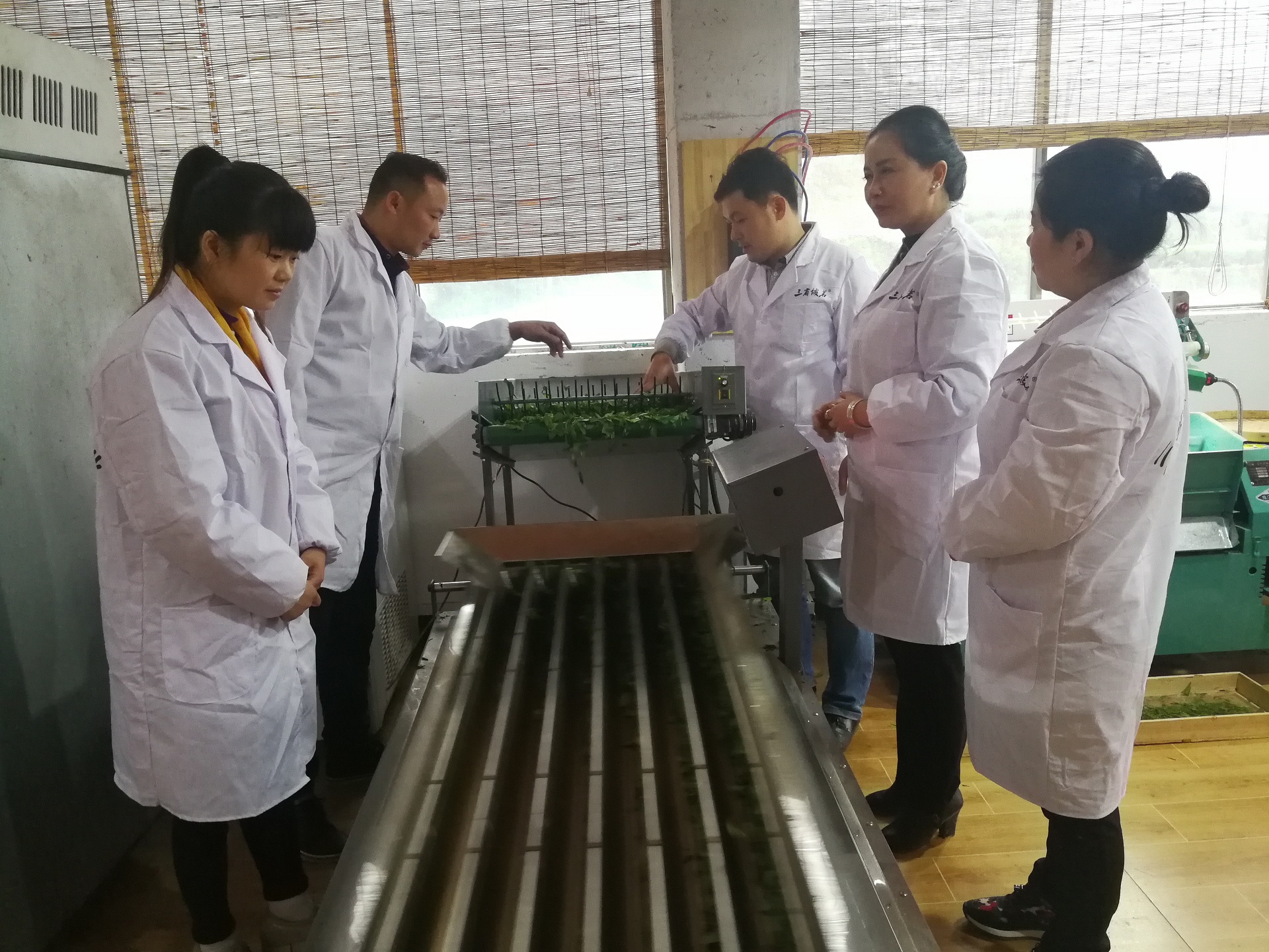 1583806015803413.jpg 三江茶叶协会领导班子共同研究绿茶加工品质.jpg