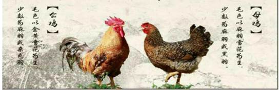 1594693723222401.jpg image010.jpg