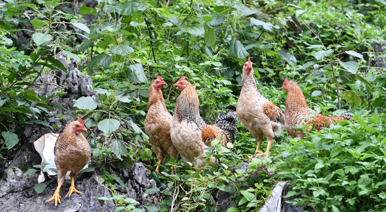 1594693733594686.jpg image011.jpg