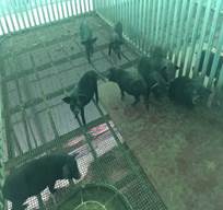 1594693813528439.jpg image020.jpg