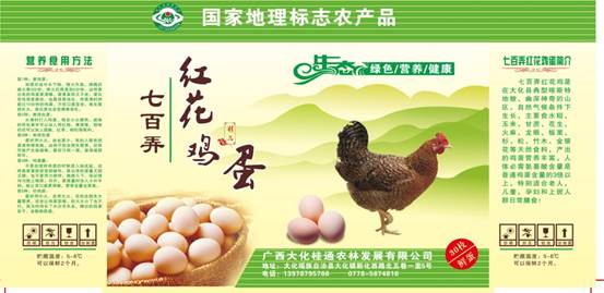 1594693842378012.jpg image026.jpg