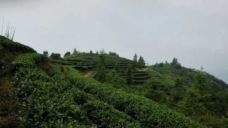 三江县侗兴源农业综合开发有限公司