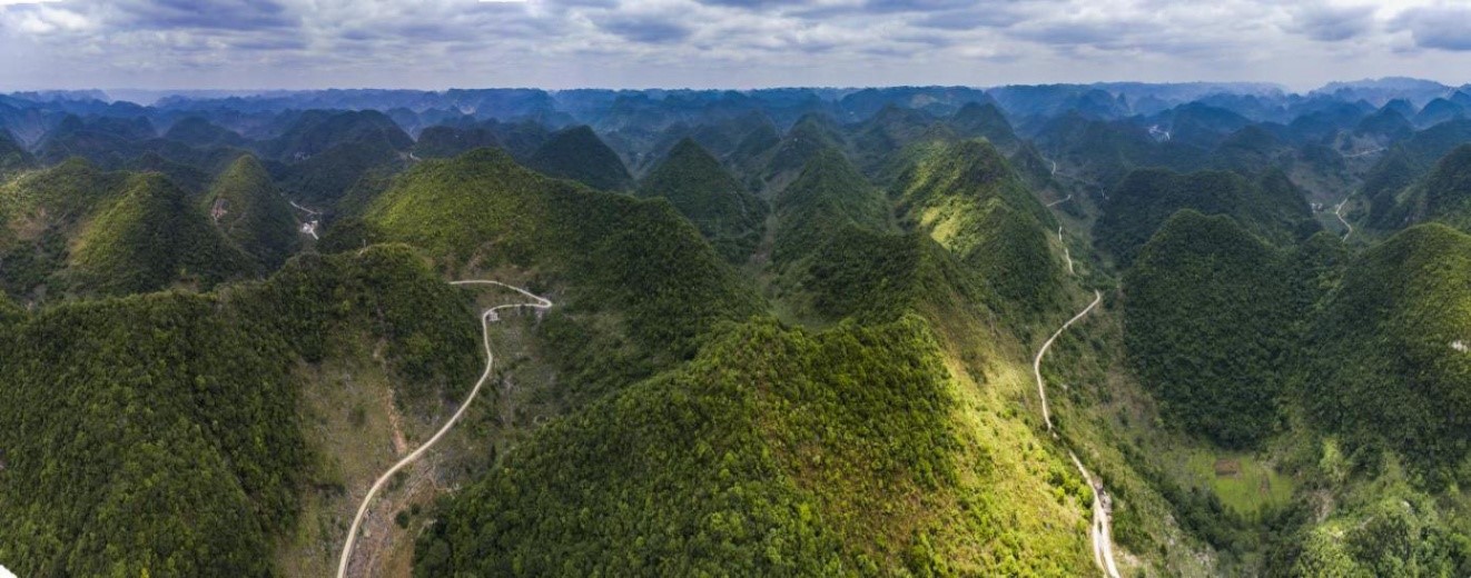 广西大化桂通农林发展有限公司